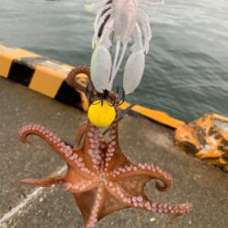 雨降りの釣り