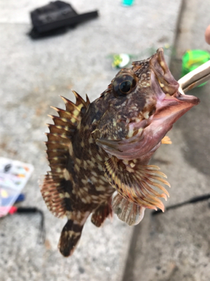 南芦屋浜ベランダ