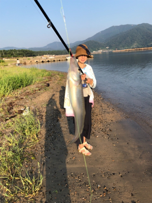 敦賀でキス釣り