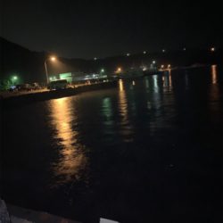 亀浦観光港