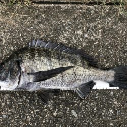 イチノ兄弟、釣果！