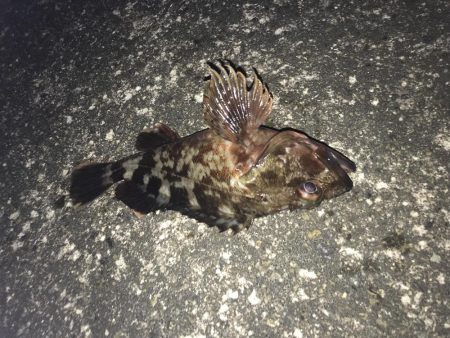 台風後の釣り