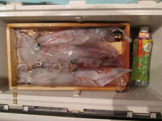 松福丸 釣果