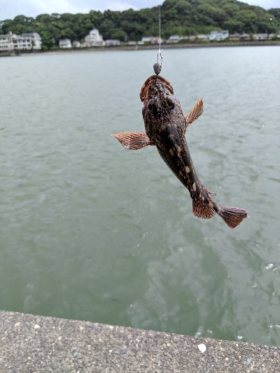 久しぶり釣行