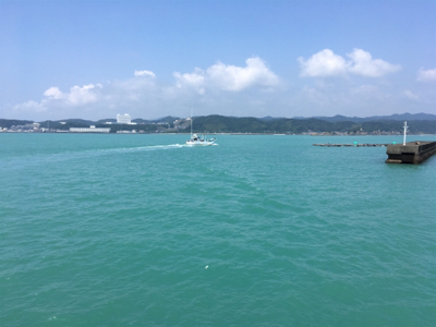 大島漁港 サビキ釣り