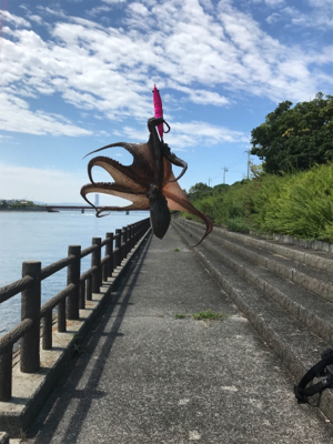 久しぶりにタコ釣り