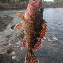 熱中症に気をつけよう