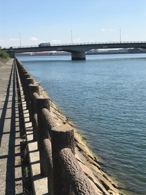 久しぶりにタコ釣り