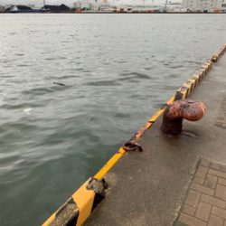 雨降りの釣り