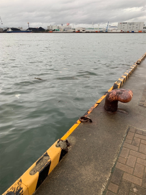 雨降りの釣り