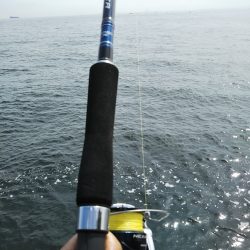 雨上がりも福浦岸壁は釣り座も満席御礼！