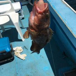 鳴門沖釣り