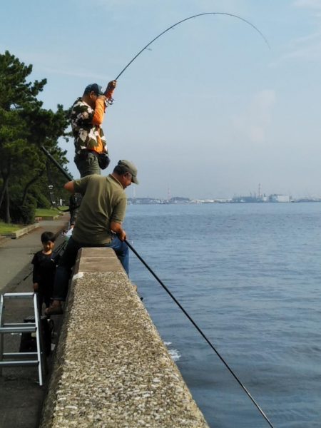 雨上がりも福浦岸壁は釣り座も満席御礼！
