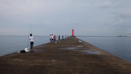 暑さが戻り厳しい播磨新島釣行