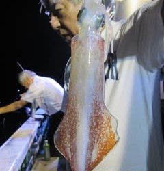 松福丸 釣果