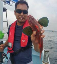 東京湾探釣隊ぼっち 釣果