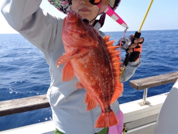 鯛紅丸 釣果