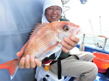 鯛紅丸 釣果