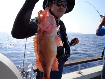 鯛紅丸 釣果