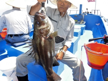 鯛紅丸 釣果