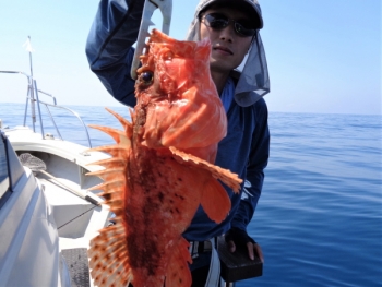 鯛紅丸 釣果