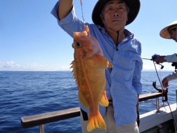 鯛紅丸 釣果