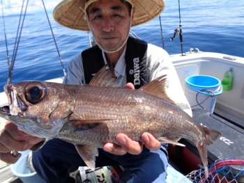 鯛紅丸 釣果