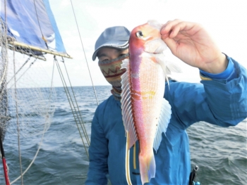 鯛紅丸 釣果