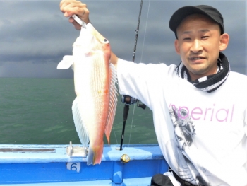 鯛紅丸 釣果