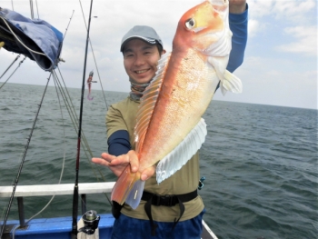 鯛紅丸 釣果