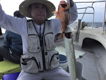 鯛紅丸 釣果