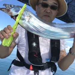 釣船 浦島太郎 釣果