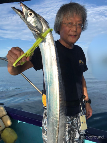 釣船 浦島太郎 釣果