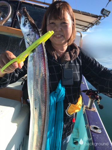 釣船 浦島太郎 釣果