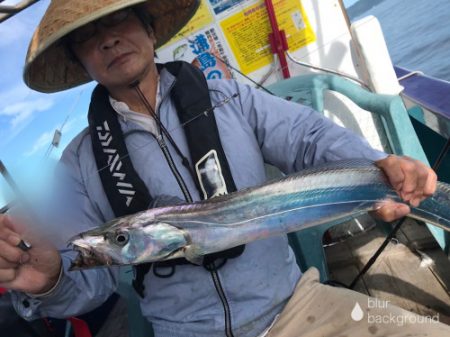 釣船 浦島太郎 釣果