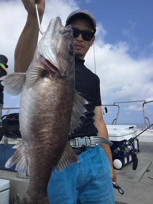 凪紗丸 釣果