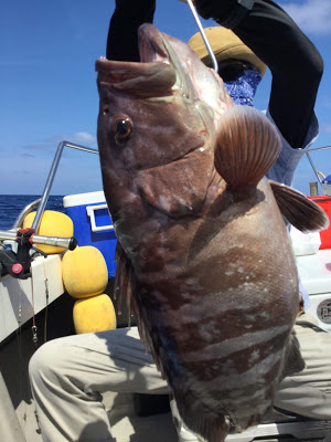 凪紗丸 釣果