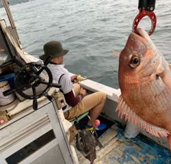 幸吉丸 釣果