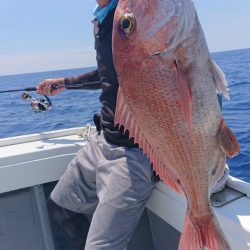 だて丸 釣果