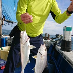 清和丸 釣果