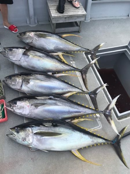 へいみつ丸 釣果