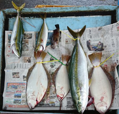 明神釣船 釣果