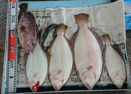 明神釣船 釣果