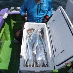 川崎丸 釣果