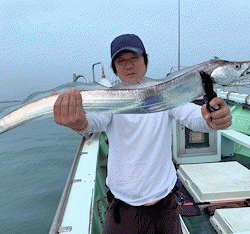 橋安丸 釣果