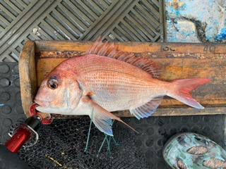 幸吉丸 釣果