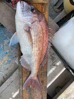 幸吉丸 釣果