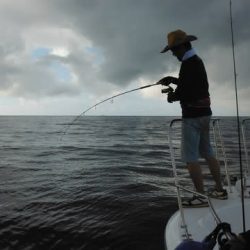 開進丸 釣果