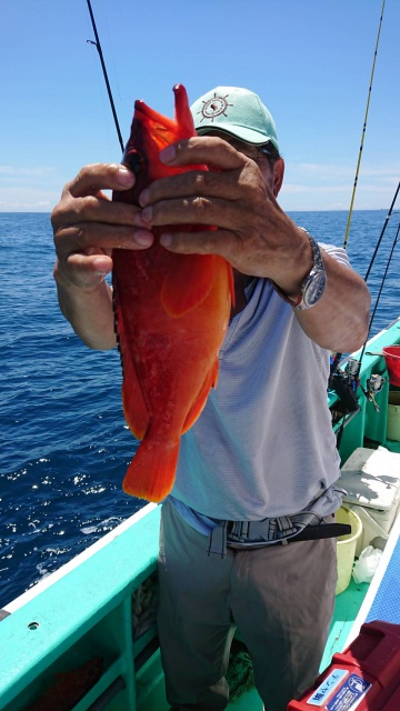 松栄丸 釣果