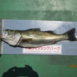 下関フィッシングパーク 釣果